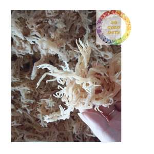 สาหร่าย Eucheuma cottonii แบบแห้งแดดธรรมชาติส่งออกจากโรงงานที่เชื่อถือได้ - Product Image 1