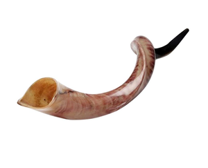 Travail en métal corne de buffle corne de bœuf décoration murale suspension murale avec couleur naturelle poli meilleur - Product Image 5