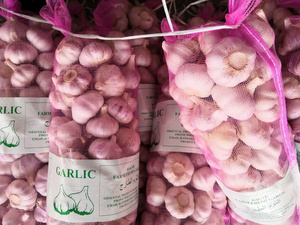 กระเทียมสดขนาดใหญ่ รูปทรงสม่ำเสมอ คุณภาพดี สีขาวบริสุทธิ์/สีแดงธรรมชาติ สำหรับขาย - Product Image 3