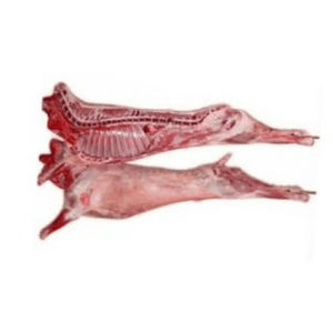 Viande de mouton halal surgelée de qualité supérieure, en boîte, coupes de corps, cuisse, épaule, avec ou sans os, prête pour les réseaux de distribution des chaînes mondiales - Product Image 4
