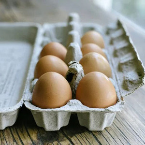 ไข่ไก่แบบมีโปรตีนสูงสีน้ำตาลและสีขาวสำหรับใช้ในฟาร์มทำจากธรรมชาติ - Product Image 6