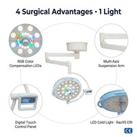 Lampe d'opération chirurgicale murale sans ombre à LED haute luminosité Top 10 fournitures d'équipement médical pour salle d'opération/opération