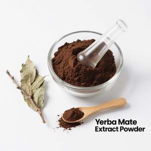 Groothandel <span class=keywords><strong>Yerba</strong></span> <span class=keywords><strong>Mate</strong></span> <span class=keywords><strong>Extract</strong></span> 10:1 <span class=keywords><strong>Yerba</strong></span> <span class=keywords><strong>Mate</strong></span> <span class=keywords><strong>Extract</strong></span> Poeder - Product Image 3