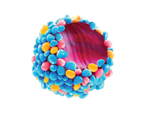 Bonbons Gélifiés Marron en Poudre de Lait et Sucre, Forme Cube Asteroid Myrtille, Sucrés et Fruités, 40g - Product Image 3