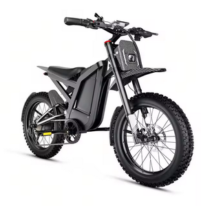 Moto électrique tout-terrain pour adultes avec moteur brushless de 3000 W, batterie 48 V 32 Ah, vitesse maximale de 37 mph et autonomie de 80 miles, vélo électrique pour adultes - Product Image 1