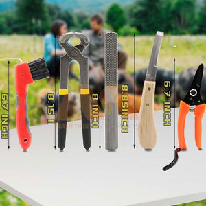 Kit de Herramientas de Herrador Reutilizable, Juego Completo de Instrumentos de Acero Inoxidable para el Cuidado de Cascos, Kit de Herrador Profesional para el Mantenimiento de Cascos de Caballos - Product Image 2
