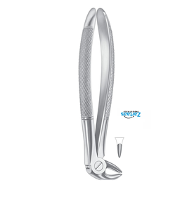 Pinzas de extracción de acero inoxidable de alta calidad No. Fabricante y Exportadores de Premolares Inferiores 13s para Niños - Product Image 3