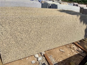 Azulejos de granito amarillo cristalino, losas de superficie pulida, estilo de diseño moderno duradero para encimeras en hogares, oficinas, India directa - Product Image 2