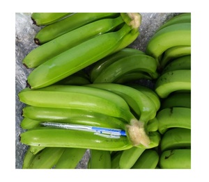 BANANE CAVENDISH FRAIS/BANANE FRAIS BANANE CAVENDISH FRAIS DU VIETNAM- PREMIUM EXPORT - Product Image 6