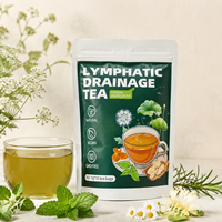 Tisane Naturelle de Racine de Pissenlit du Shaanxi pour Drainage Lymphatique, Détoxification Corporelle, Perte de Poids et Soutien Immunitaire