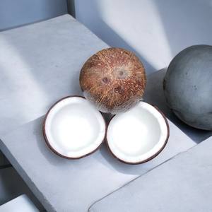 Exportaciones vietnamitas de coco seco - Product Image 4