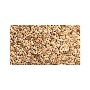 เมล็ดสะเดาสะอาดสำหรับผู้ซื้อและผู้ส่งออกจำนวนมาก - Product Image 6