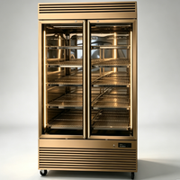 Armoire de maturation de viande à LED avec ventilateur de refroidissement, contrôle numérique double température pour la maturation à sec des steaks, idéale pour cuisine/restaurant en climat frais