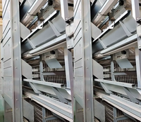 Système de cages en couches de type H YIMUDA avec collecte automatique d'œufs à haute efficacité, en acier galvanisé et courroie en PVC pour élevage de poulets