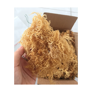 Vietnam dried <b>sea</b> <b>moss</b> ready to ship pure dried <b>sea</b> <b>moss</b> Eucheuma Cottonii dried <b>sea</b> <b>moss</b> clean and natural seaweed - Product Image 1