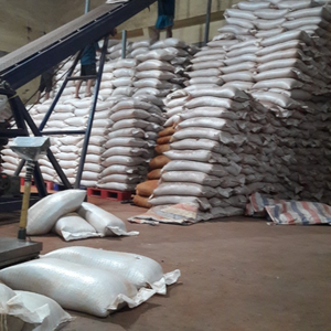 Semillas de albahaca 100% orgánicas y naturales de excelente calidad y mejor marca para exportación - Product Image 4