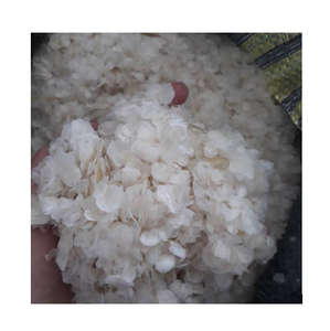 เครื่องชั่งปลาแห้งวัสดุสำหรับเครื่องดื่มชูกำลังคอลลาเจน - Product Image 1