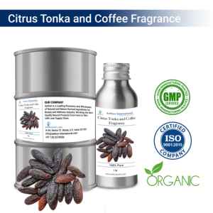 Citrus Tonka and Coffee Spa & Fragrance for Adding <b>Aromatic</b> Luxury to Your Space - Product Image 1