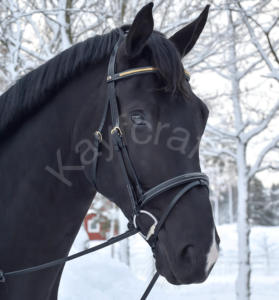 Brida de caballo negro con banda de latón Clincher para cejas con costuras blancas y banda para la nariz acolchada - Product Image 2