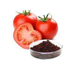 Poudre de tomate biologique soluble dans l'eau de qualité alimentaire en gros d'usine poudre de tomate séchée par pulvérisation - Product Image 2