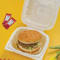 Contenedores de Plástico Desechables de Polipropileno de Alta Gama, Tipo Concha, con Tapa Abatible, 6x6" 8x8", para Sándwiches, Pizza, Jugos, Tamaño Personalizado, Color Blanco