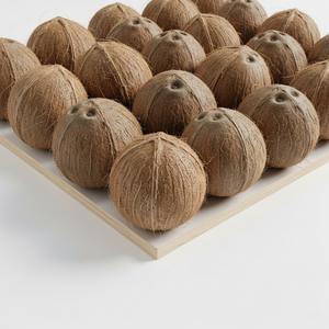 Noix de coco fraîches de qualité d'exportation semi-décortiquées pour l'extraction de l'huile de boisson de cuisson et la distribution internationale - Product Image 1