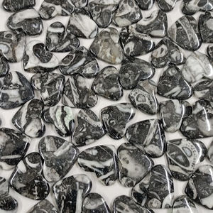 ฟอสซิลพลอยเทียมทรงหลวมสำหรับประดับอัญมณี - Product Image 1