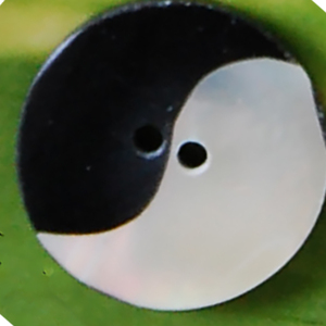 Botones Redondos Hechos a Mano con Diseño de Concha Real, Estilos de Arte Chino con Motivos de Conchas Marinas, Incluyen Joyería de Ángeles Budistas - Product Image 3