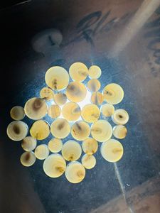 กระดุมเสื้อทำจากเขาควายแท้ 100% คุณภาพดีเยี่ยม กันน้ำ แฟชั่นใหม่ อุปกรณ์เย็บผ้า HF - Product Image 3