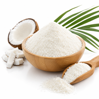 Poudre d'eau de coco lyophilisée de haute qualité, ingrédient alimentaire naturel pour boissons, vente en gros, directement de l'usine