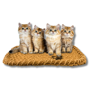 Hot Selling PALM <b>MAT</b> / COIR <b>MAT</b> for PET Pet <b>Mats</b>: a Resting Place for Dogs and <b>Cats</b>, Exported From Vietnam - Product Image 1