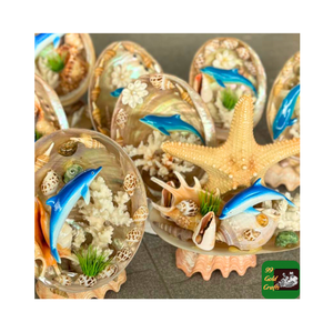 รูปปั้นปลาโลมาและปลาเปลือกหอยทำด้วยมือ2025ฤดูร้อนของขวัญหอยเป๋าฮื้อขัดเงาและปะการัง99โกลด์ดาต้า - Product Image 3