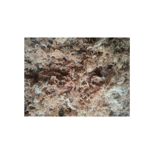 สาหร่ายธรรมชาติจากทะเลมีรสชาติเข้มข้นทั้งรสหวานและเค็มบรรจุสำหรับขายส่งและปริมาณมาก - Product Image 3