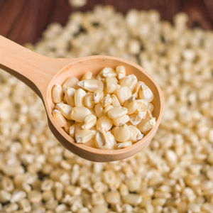 Semillas de Maíz Enceradas Secas Orgánicas de la Mejor Calidad para Cocina Saludable, Industria de Cereales y Snacks, Exportación a Granel y Venta al por Mayor - Product Image 1