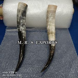 Haute qualité 100% authentique poli 20-24 pouces boeuf Viking corne à boire naturel fini corne de buffle brut bas prix MRS EXPORTS - Product Image 6