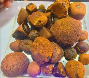 3G NATURE NIU HUANG HERB MEDICINA GANADO BUEY VACA GALLIAS BEZOAR HIERBA - Product Image 1