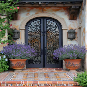 ประตูเหล็กที่มีดีไซน์กระจังหน้าตกแต่งและกรอบโลหะแข็งแรงเหมาะสำหรับบ้านทันสมัยเพื่อค้นหาทางเข้าที่ทันสมัย - Product Image 1