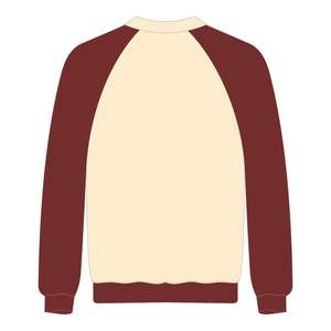 Sweat-shirt à manches raglan neutre, broderie chenille, pour les universités HBCU, motif Sororité Grecque Delta Divine Nine, style universitaire - Product Image 3