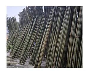 Prix de gros Poteau de canne en bambou Matériau naturel écologique de haute qualité Usine du Vietnam Fourniture directe à l'exportation - Product Image 2