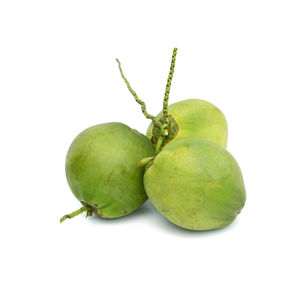 Carne de coco joven congelada Premium de Vietnam de alta calidad para postres de batidos y fabricación de alimentos a granel - Product Image 2