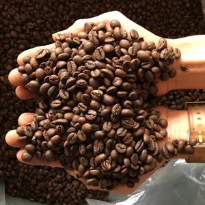 100% Arabica dalla zona materiale caffè che fagioli tostati Viet Nam prezzo a buon mercato e basso MOQ in VN HOANG LINH SG Kimy + 84938616690