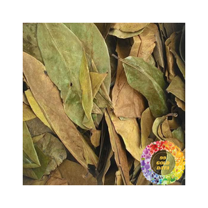 Feuilles de corossol séchées de qualité supérieure, naturelles, à l'arôme propre, soigneusement sélectionnées, feuilles entières de corossol séchées, origine Vietnam, export en vrac - Product Image 4