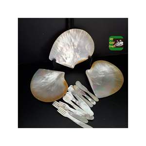 Assiette décorative en nacre du Vietnam fabriquée à la main en coquillage naturel pour salle à manger maison et collection de cadeaux - Product Image 4