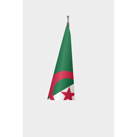 Drapeau officiel algérien personnalisé 3x5 pieds, impression numérique, nylon, coton, plastique, avec logo personnalisé, mât en aluminium