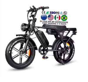 VTT électrique M20 double 48V 13ah/26ah batteries 250W 20*4.0 pouces gros pneus entrepôt UE/US OEM personnalisable 1 an - Product Image 2