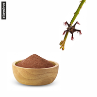 100% Extrait de Caralluma Fimbriata pur et naturel | Poudre de racine à base de plantes | Capsules Caralluma Fimbriata