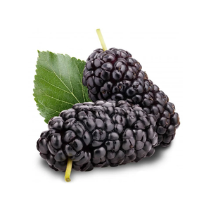 Proveedor de concentrado de jugo de morera negra congelada de alta calidad de Vietnam al precio más barato - Product Image 1