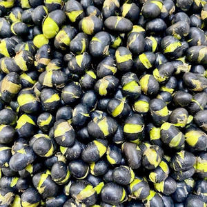 Soja noir entier torréfié en usine au Vietnam, OEM ODM, grande capacité, approvisionnement en vrac pour l'exportation - Product Image 5