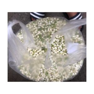 Flores de Jazmín Secas APROBADAS POR EL CLIENTE, Capullos Impecables para Té de Bienvenida en Hoteles y Componente Aromático para un Mejor Ambiente de Sueño - Product Image 4