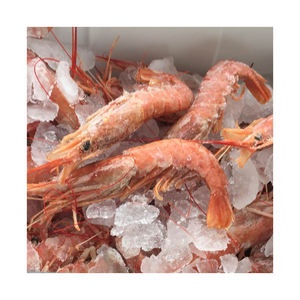 Camarones rojos congelados premium a la venta, ideales para restaurantes y servicios de catering - Product Image 5